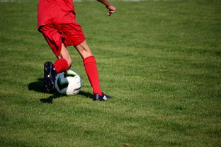 爱游戏网页版-内线球员在快节奏体系下的功能性演变，内线球员的主要作用